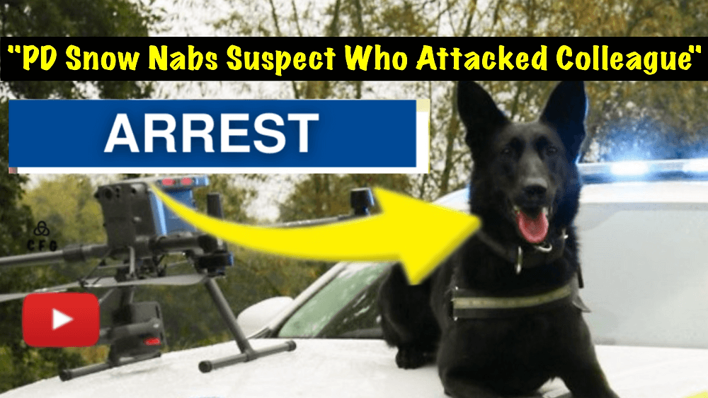 419b465f84b3874b4f04a94c50aa1ca6823b7109 1000x563