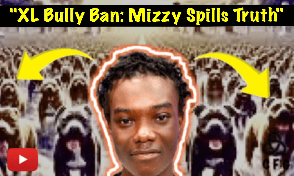 4880c094d727d51c4b05b5cc42f9bde425eb204e 1000x600