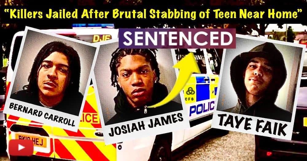 73b3bdd5b545fd755bc745773fd88e3d46c36ca2 1000x525