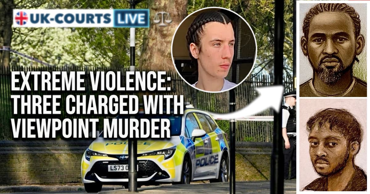 Image of Primrose Hill violence suspects an victim 