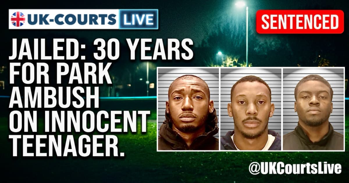 Image depicting 3 Birmingham park gunmen 