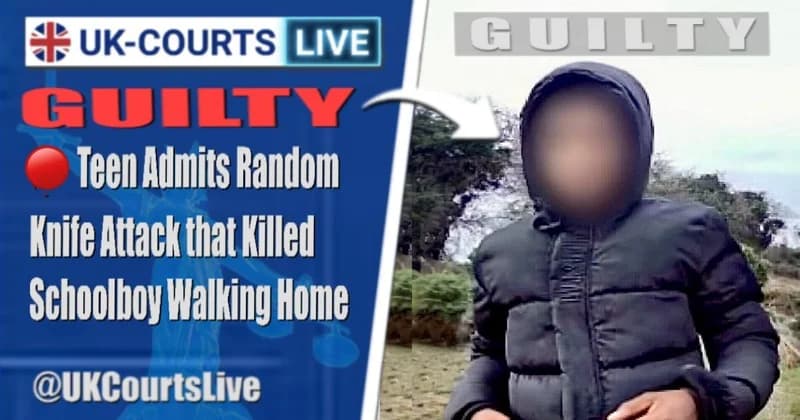 Professional Video Production News thumbnail featuring 15 year old suspect