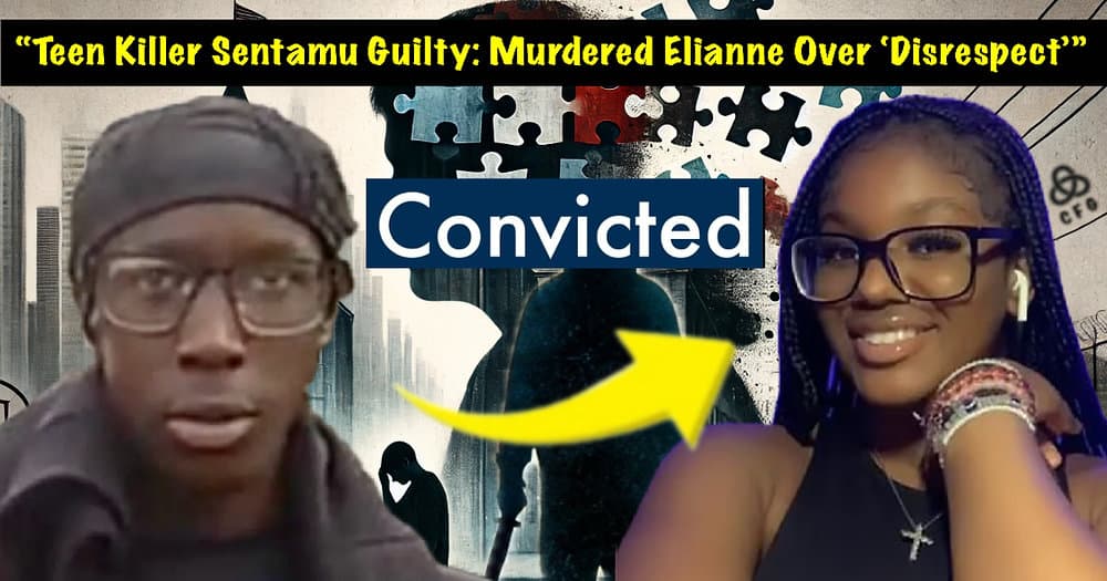 ca97c60fa0edd15797f00f854407ff7e419671ee 1000x525