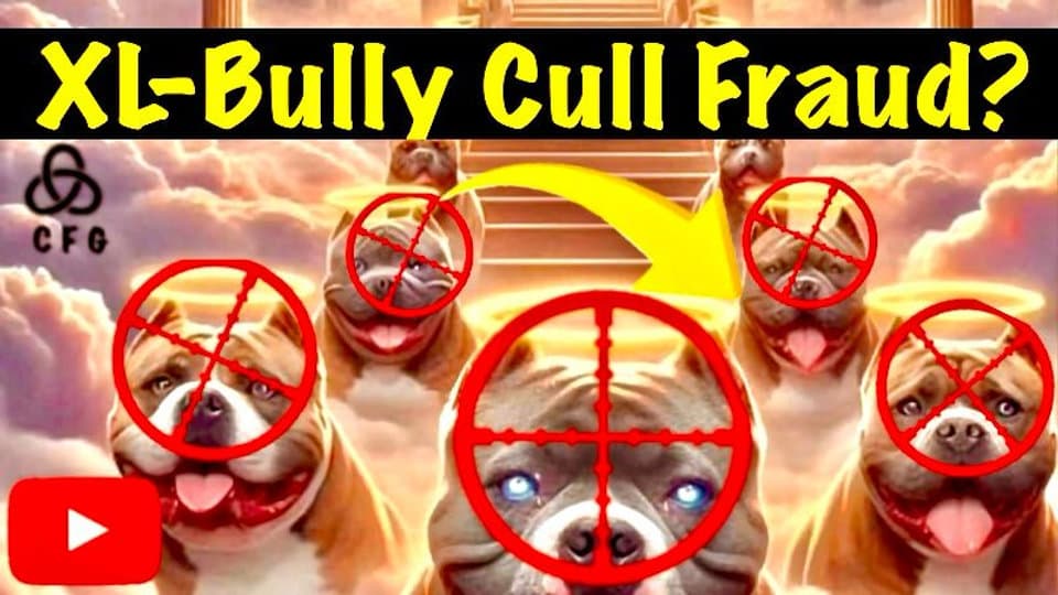 d9f714d634ce6762faf48222562ab658f5ed9ecf 960x540