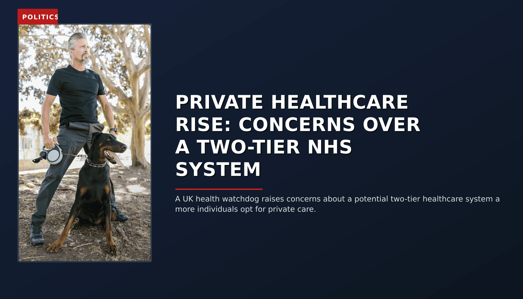 POLITICS: PRIVATE HEALTHCARE RISE: CONCERNS OVER A TWO-TIER NHS SYSTEM — VPNews
