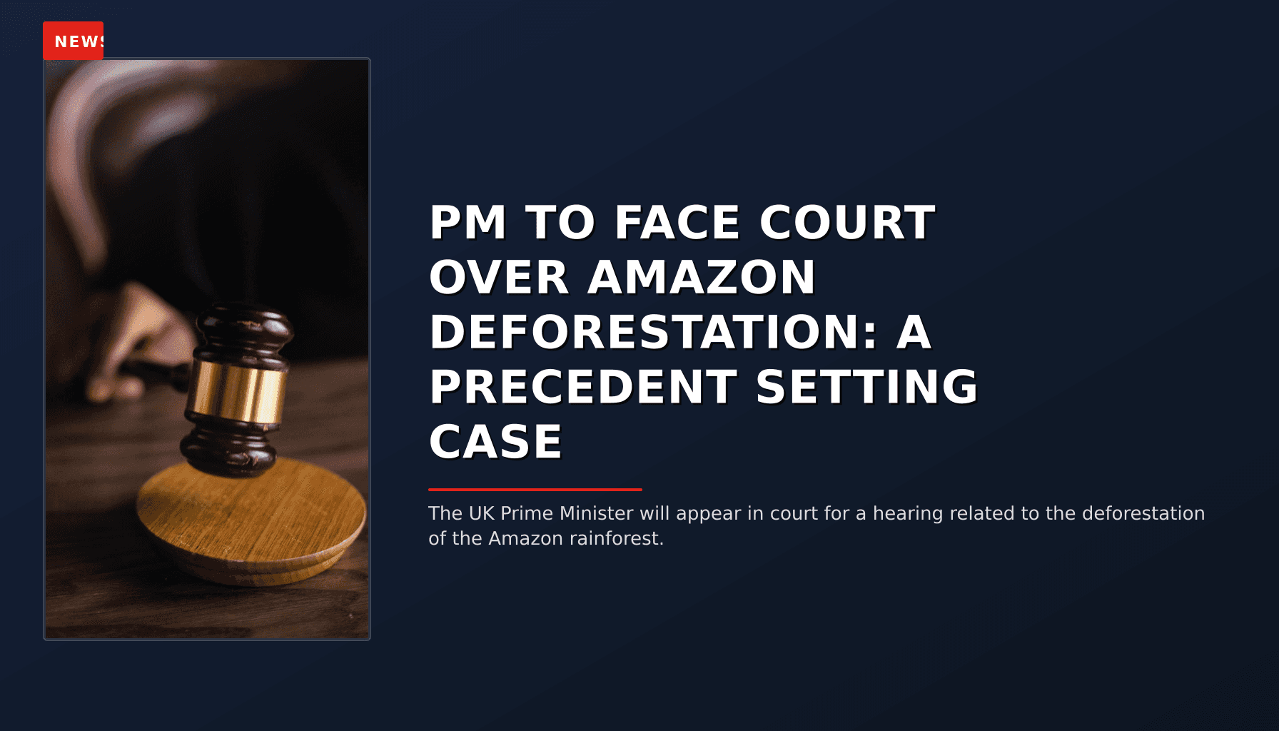 NEWS: PM TO FACE COURT OVER AMAZON DEFORESTATION: A PRECEDENT SETTING CASE — VPNews