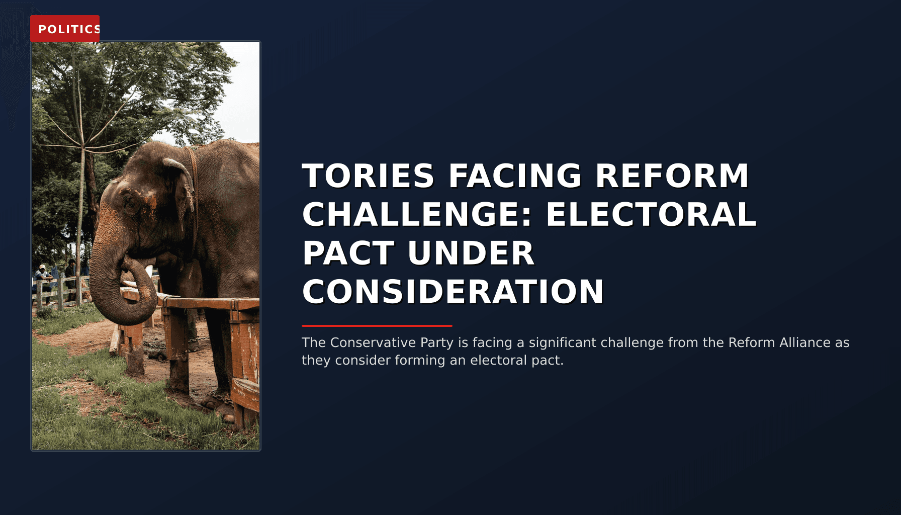 POLITICS: TORIES FACING REFORM CHALLENGE: ELECTORAL PACT UNDER CONSIDERATION — VPNews
