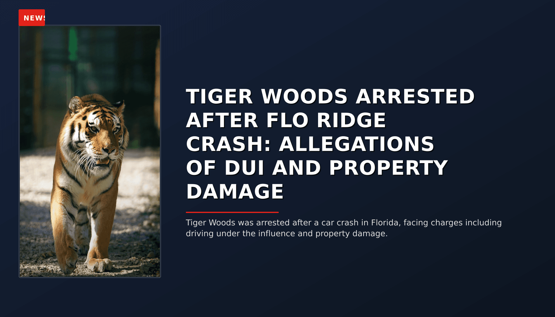 NEWS: TIGER WOODS ARRESTED AFTER FLO RIDGE CRASH: ALLEGATIONS OF DUI AND PROPERTY DAMAGE — VPNews