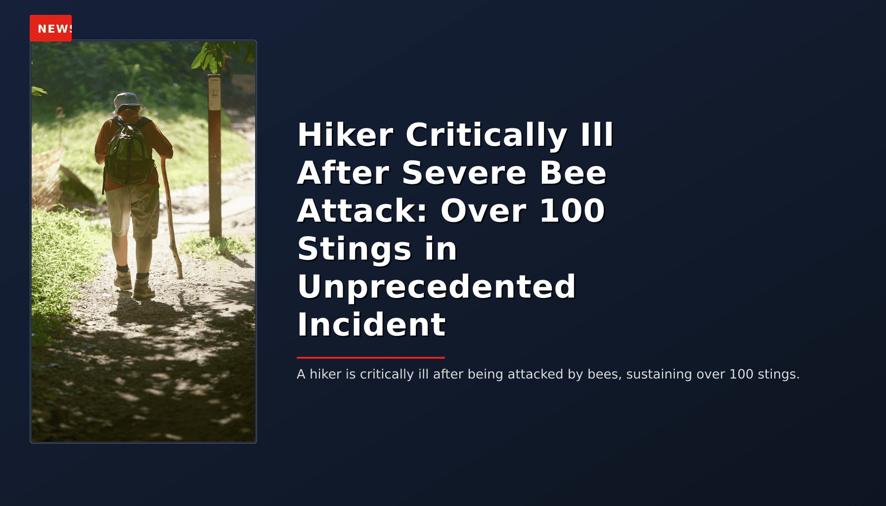NEWS: Hiker Critically Ill After Severe Bee Attack: Over 100 Stings in Unprecedented Incident — VPNews