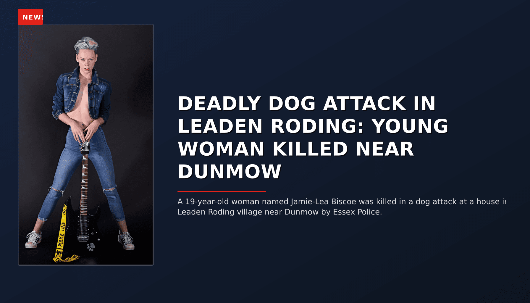 NEWS: DEADLY DOG ATTACK IN LEADEN RODING: YOUNG WOMAN KILLED NEAR DUNMOW — VPNews