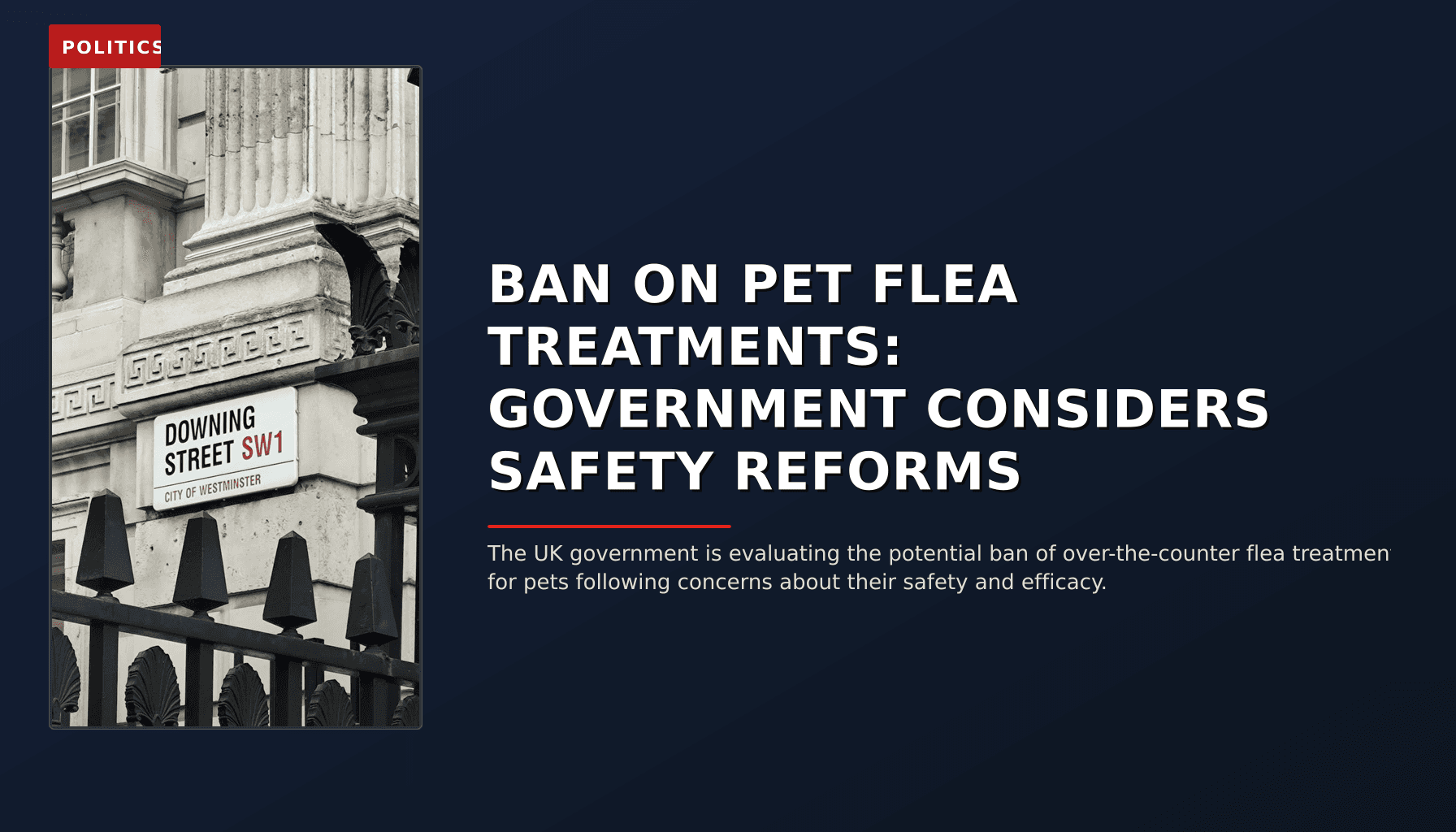 POLITICS: BAN ON PET FLEA TREATMENTS: GOVERNMENT CONSIDERS SAFETY REFORMS — VPNews