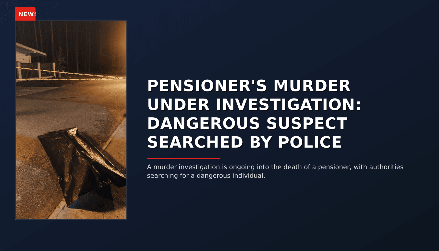 NEWS: PENSIONER'S MURDER UNDER INVESTIGATION: DANGEROUS SUSPECT SEARCHED BY POLICE — VPNews