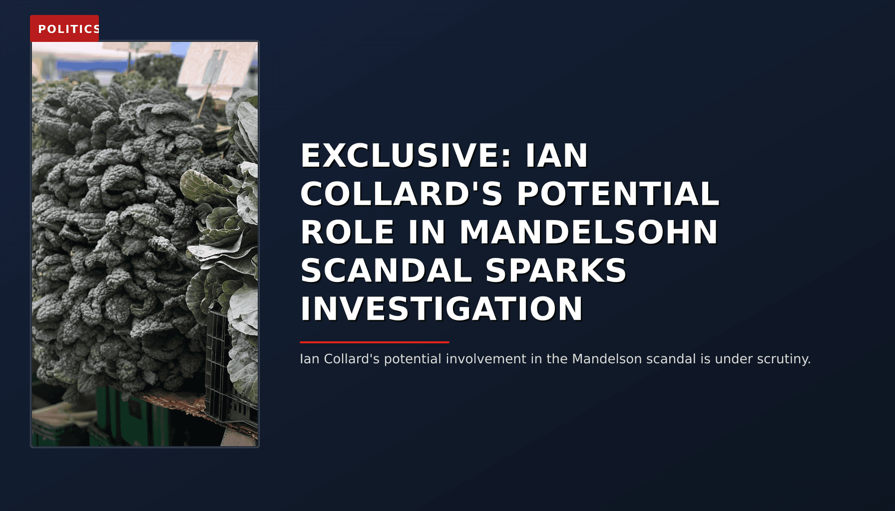 POLITICS: EXCLUSIVE: IAN COLLARD'S POTENTIAL ROLE IN MANDELSOHN SCANDAL SPARKS INVESTIGATION — VPNews