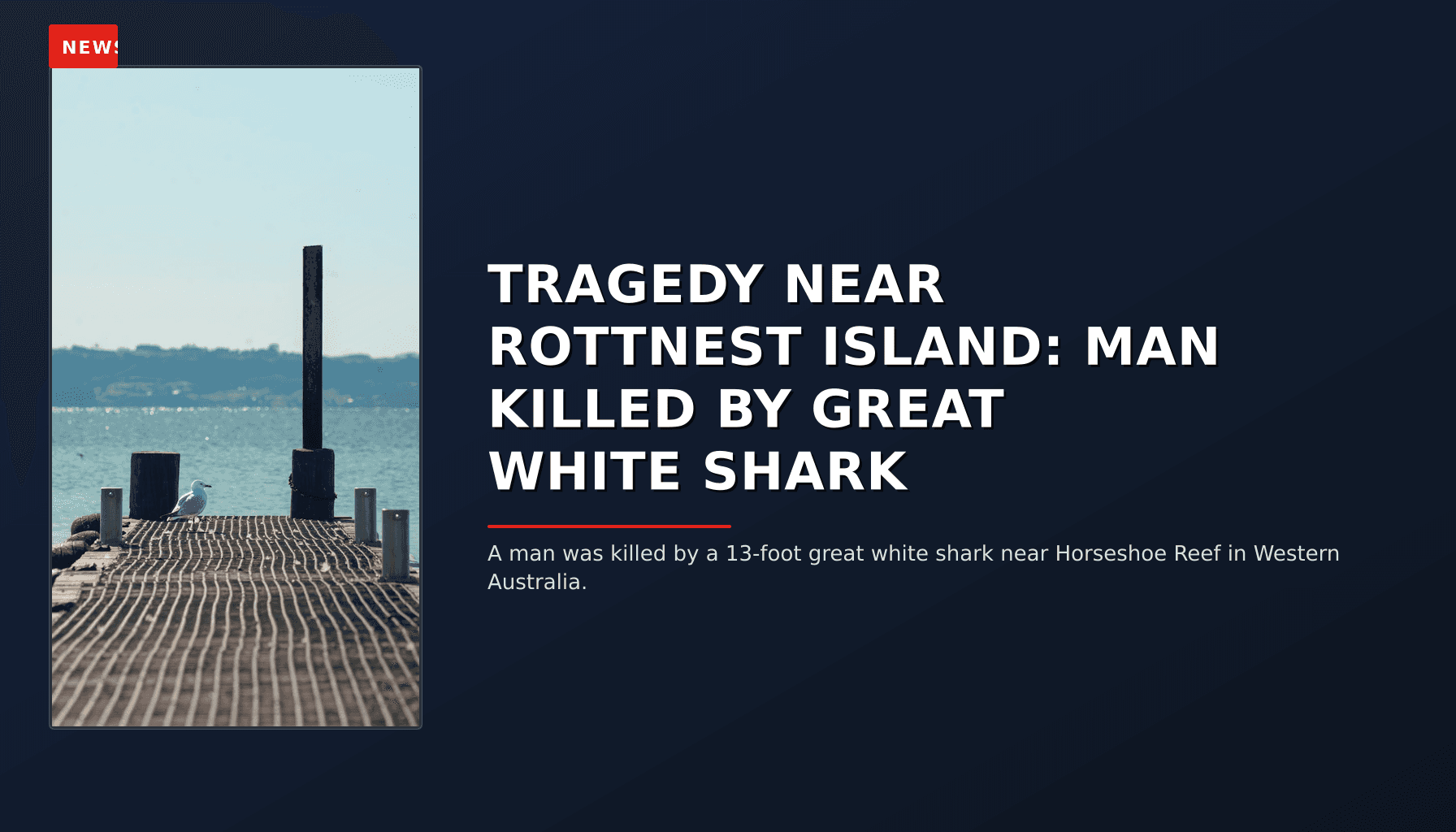 NEWS: TRAGEDY NEAR ROTTNEST ISLAND: MAN KILLED BY GREAT WHITE SHARK — VPNews