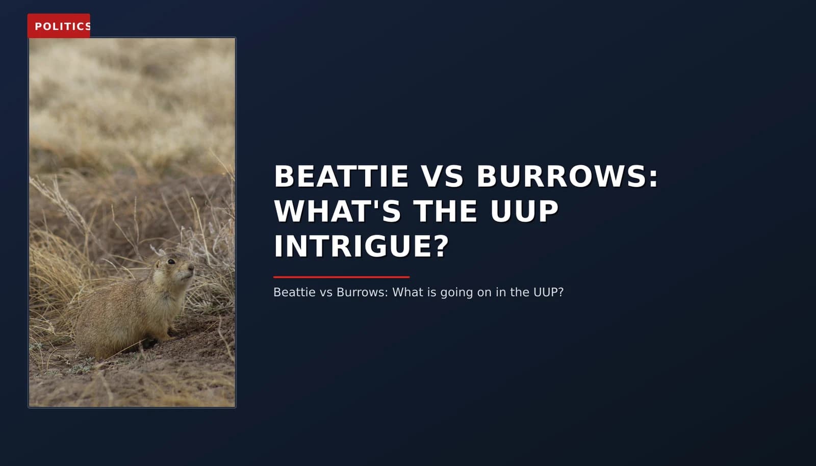 POLITICS: BEATTIE VS BURROWS: WHAT'S THE UUP INTRIGUE? — VPNews