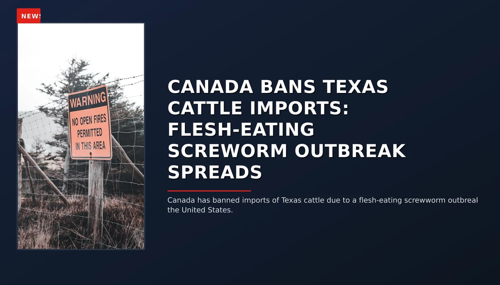 NEWS: CANADA BANS TEXAS CATTLE IMPORTS: FLESH-EATING SCREWORM OUTBREAK SPREADS — VPNews