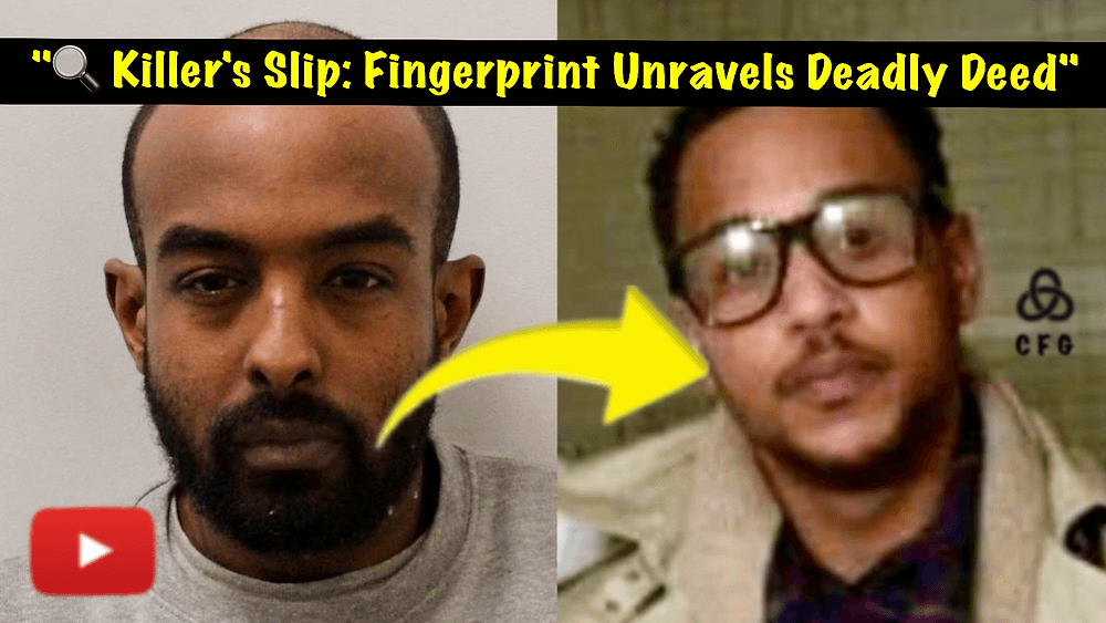 12f37b190f6c4ddaa6d28e8223a8c13a074160a5 1000x563