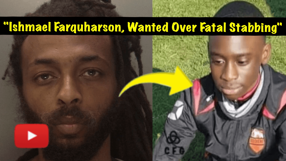 6a5110ad3c2aaae48ffe5bf57e021deaf82b4fb2 1000x563