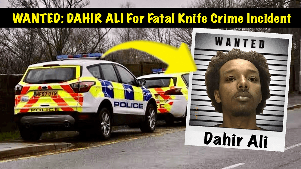 e571b6d6ef8d0d89293062858657e4b09daf42d4 1000x563