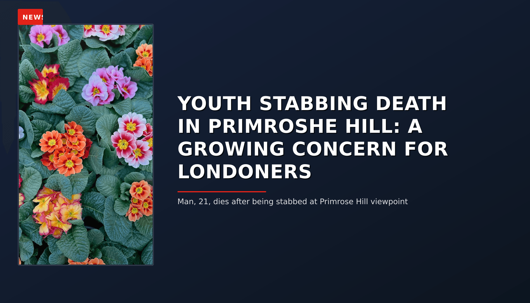 NEWS: YOUTH STABBING DEATH IN PRIMROSHE HILL: A GROWING CONCERN FOR LONDONERS — VPNews