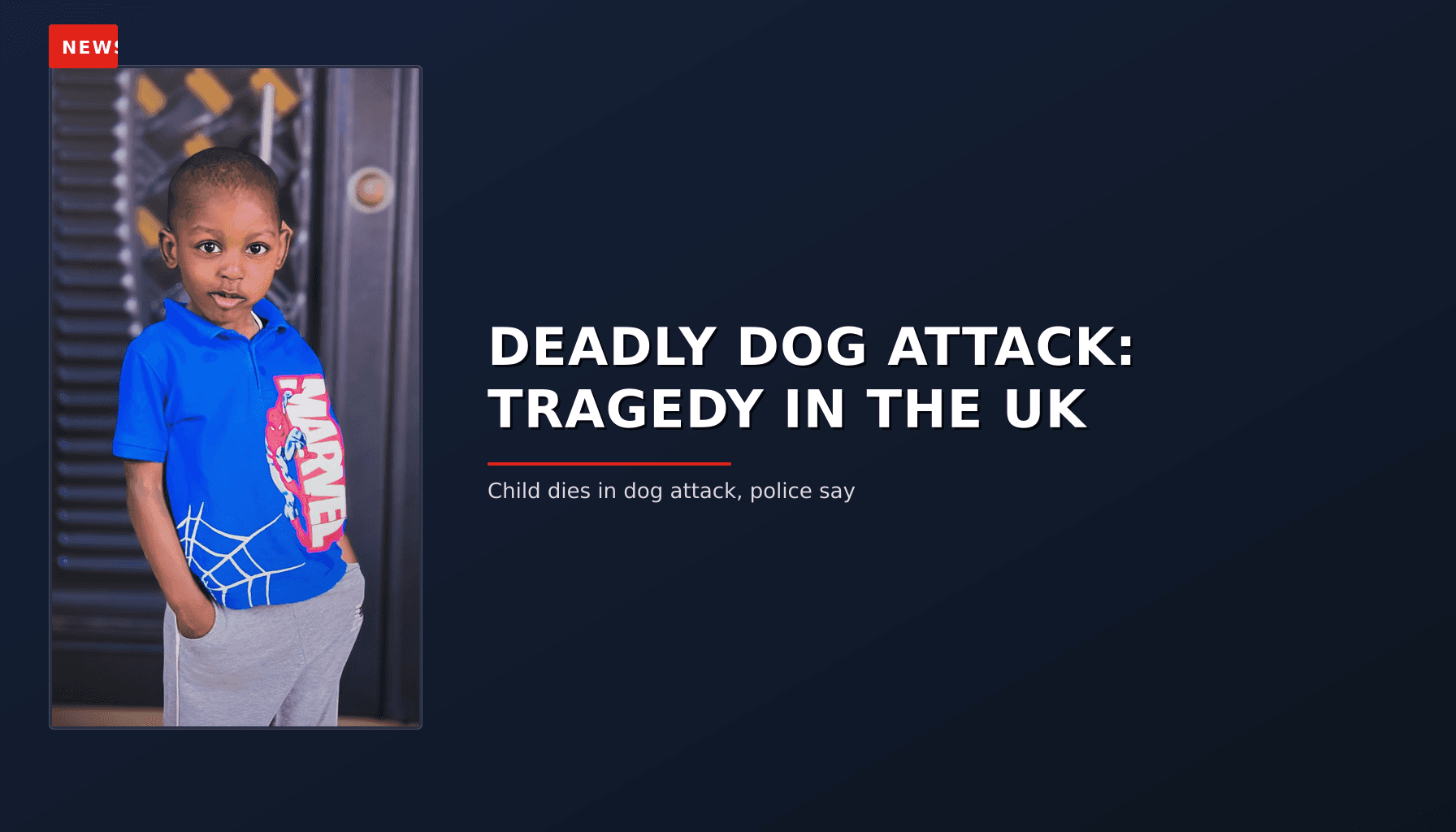 NEWS: DEADLY DOG ATTACK: TRAGEDY IN THE UK — VPNews