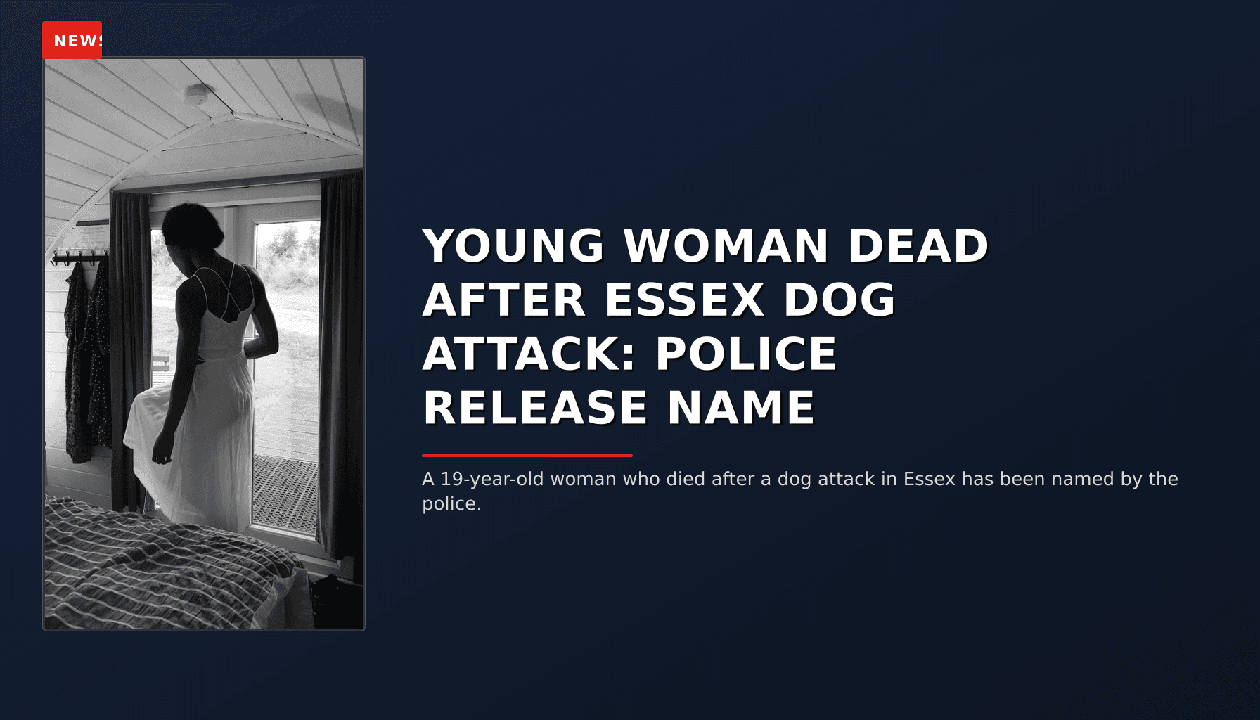 NEWS: YOUNG WOMAN DEAD AFTER ESSEX DOG ATTACK: POLICE RELEASE NAME — VPNews