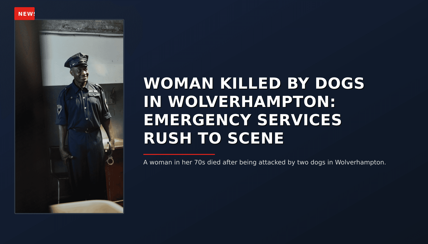 NEWS: WOMAN KILLED BY DOGS IN WOLVERHAMPTON: EMERGENCY SERVICES RUSH TO SCENE — VPNews