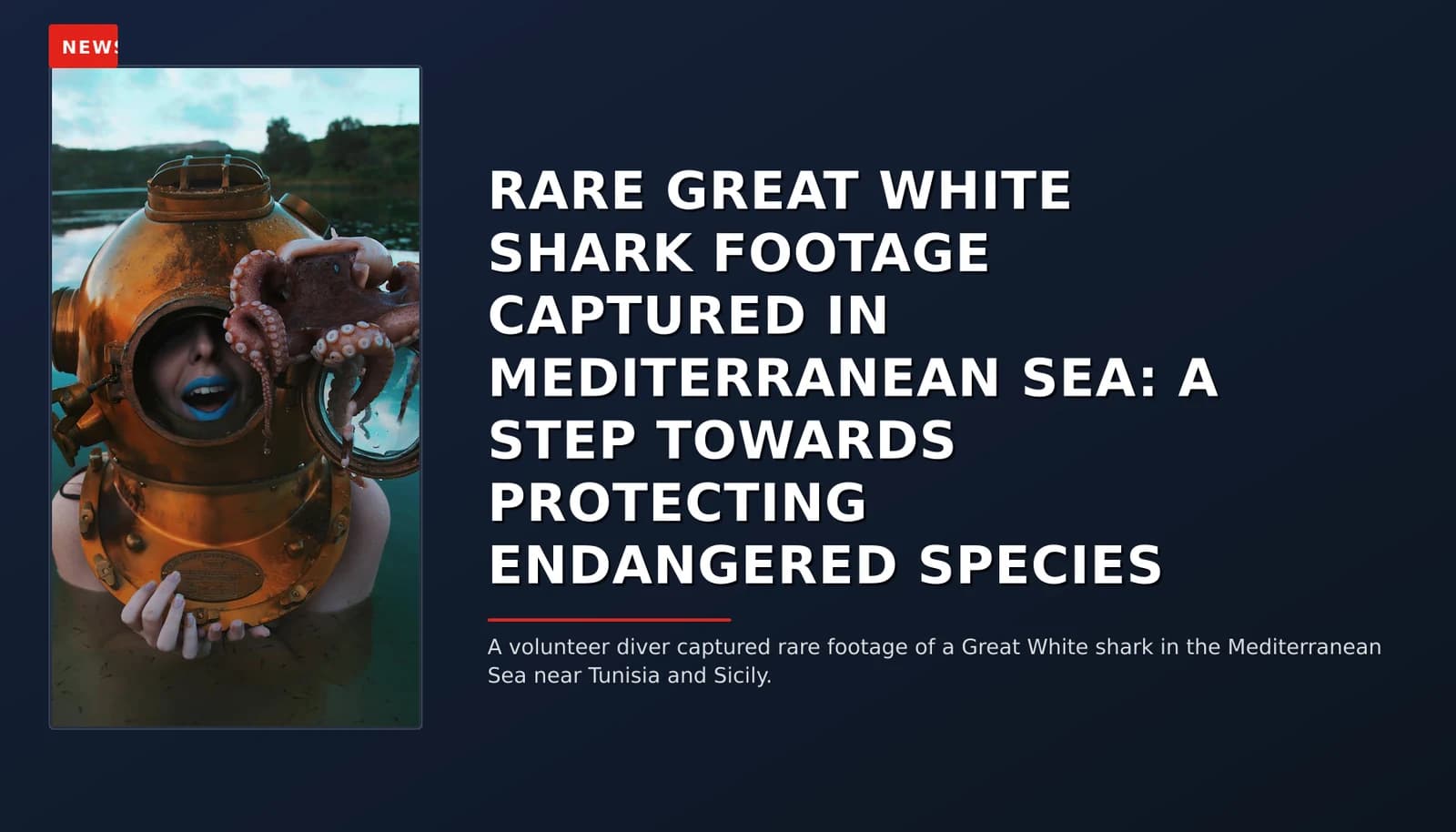 NEWS: RARE GREAT WHITE SHARK FOOTAGE CAPTURED IN MEDITERRANEAN SEA: A STEP TOWARDS PROTECTING EN — VPNews